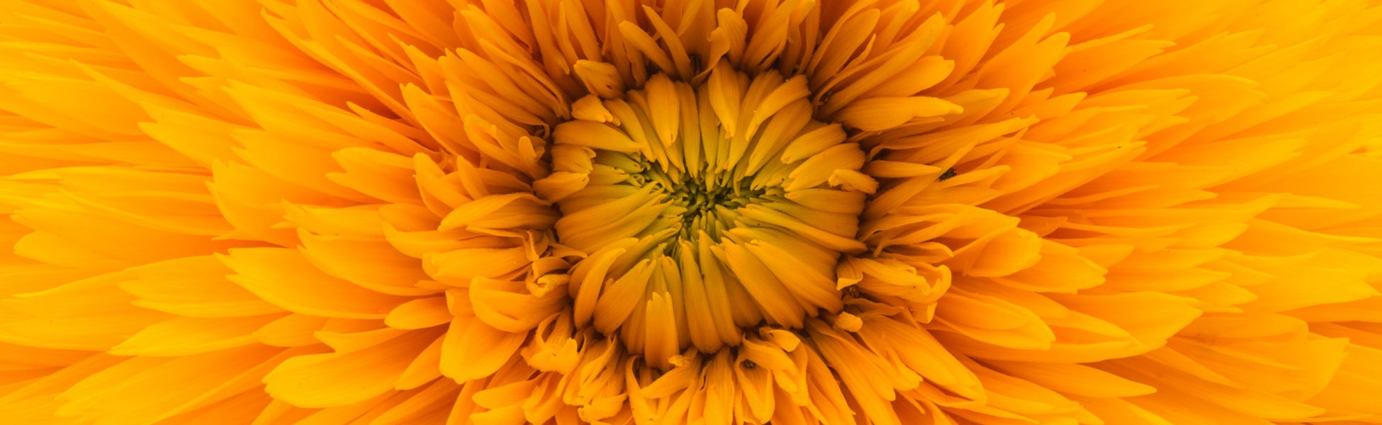 Storytelling with Data